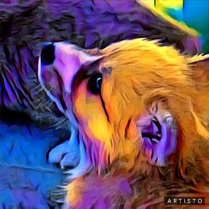 Meet your Posher, Cheryl